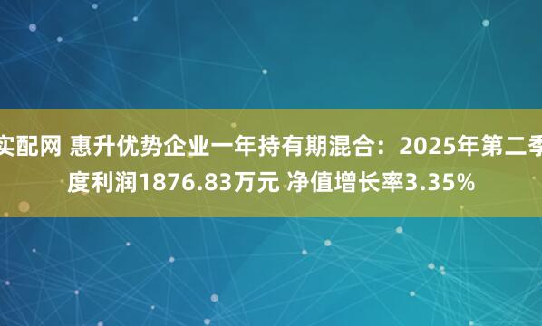 实配网 惠升优势企业一年持有期混合：2025年第二季度利润1876.83万元 净值增长率3.35%