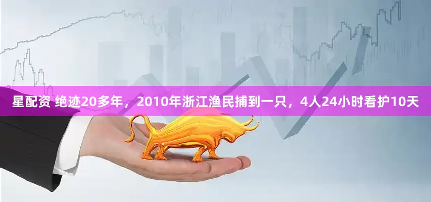 星配资 绝迹20多年，2010年浙江渔民捕到一只，4人24小时看护10天